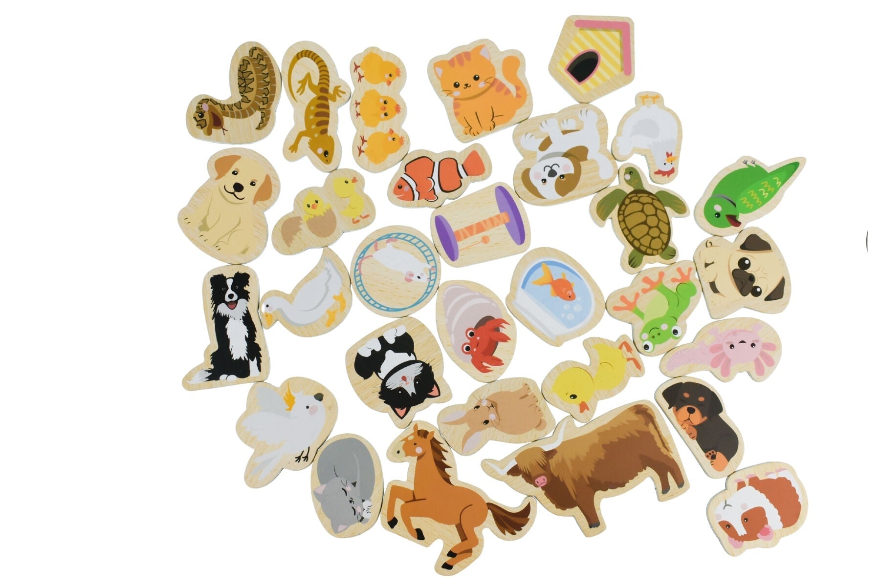 FRIDGE FRIENDS PET MAGNETS 30PCS - Bamboo Sprout