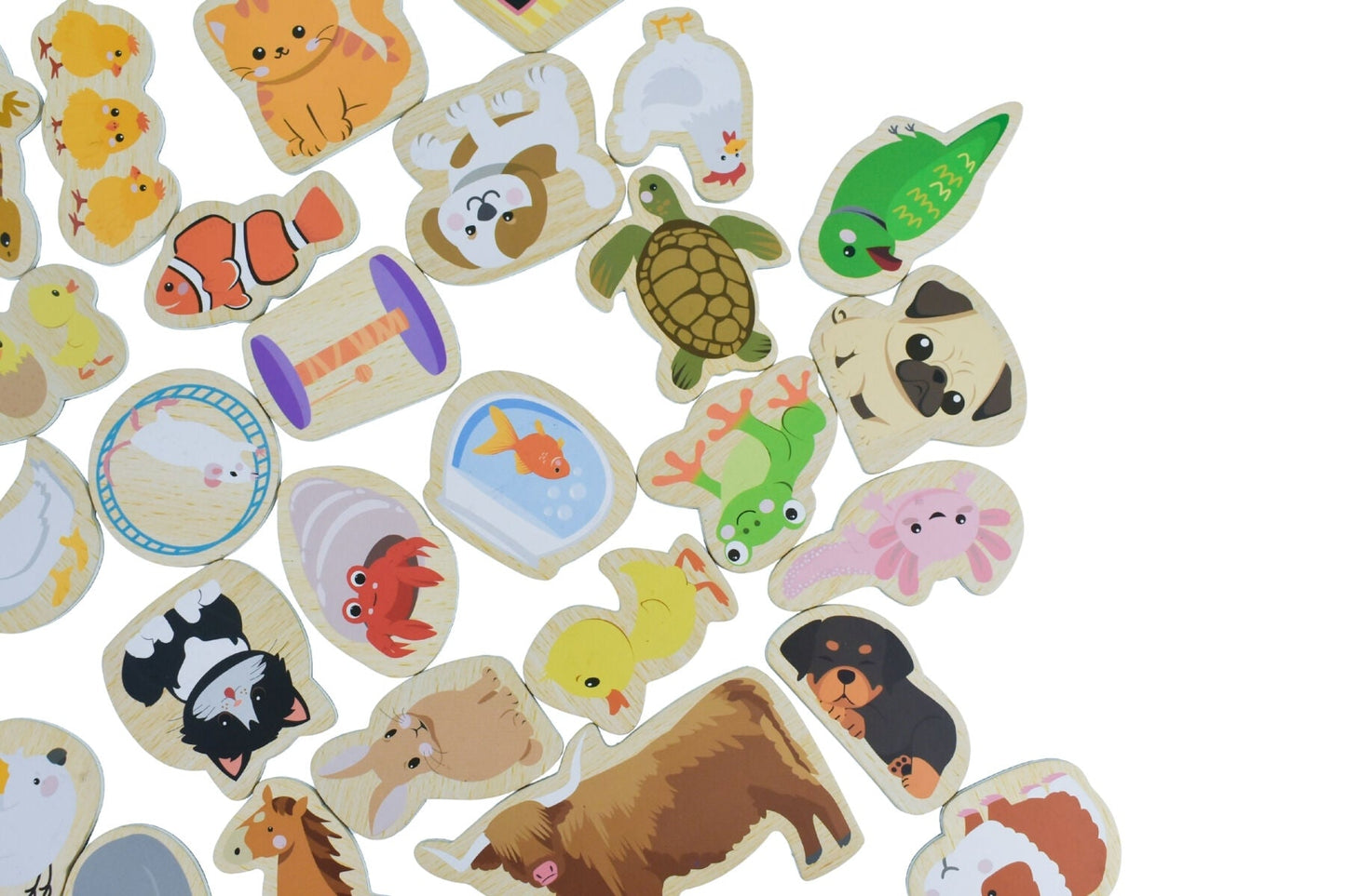 FRIDGE FRIENDS PET MAGNETS 30PCS - Bamboo Sprout
