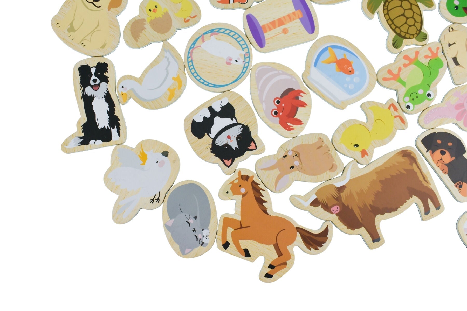 FRIDGE FRIENDS PET MAGNETS 30PCS - Bamboo Sprout