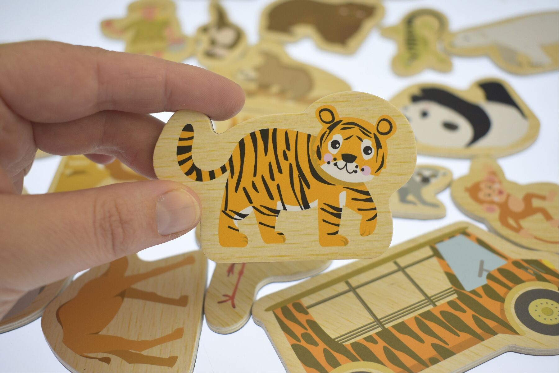 FRIDGE FRIENDS ZOO ANIMALS 25PC - Bamboo Sprout