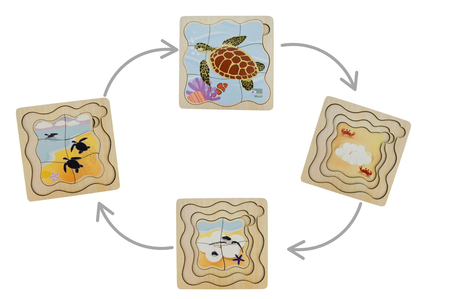 BUSH BUDDIES GREEN SEA TURTLE LIFE CYCLE LAYER PUZZLE - Bamboo Sprout