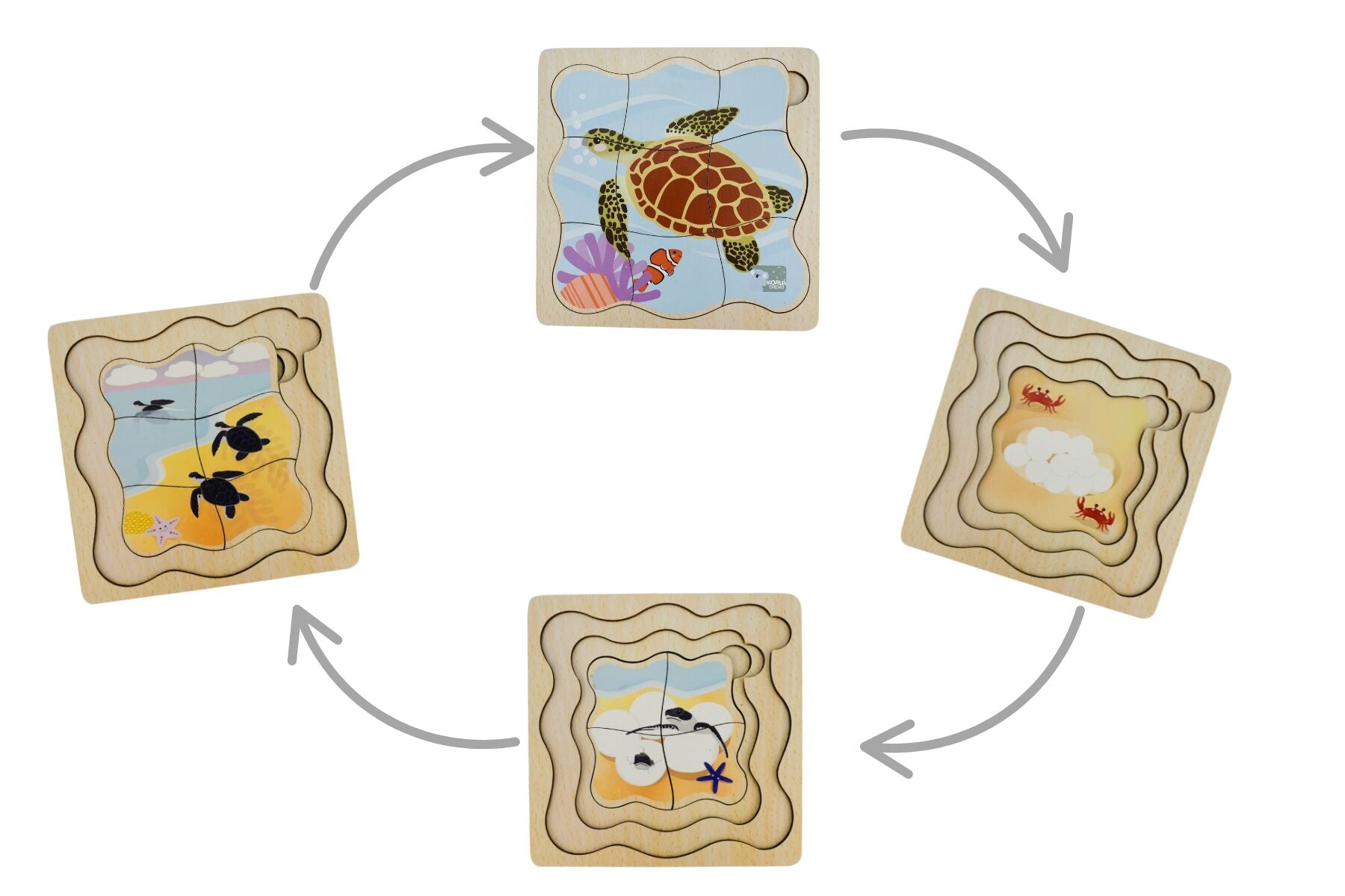 BUSH BUDDIES GREEN SEA TURTLE LIFE CYCLE LAYER PUZZLE - Bamboo Sprout