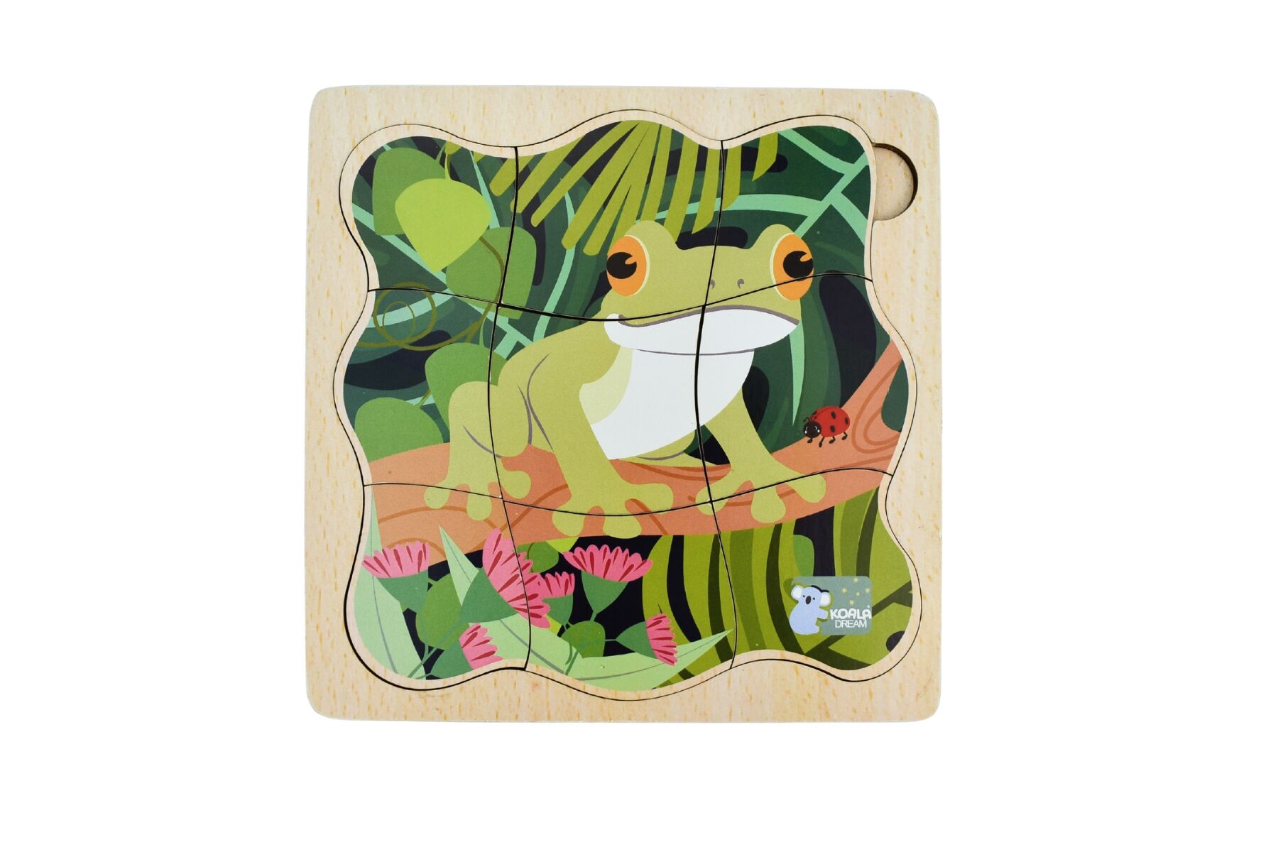BUSH BUDDIES GREEN TREE FROG LIFE CYCLE LAYER PUZZLE - Bamboo Sprout