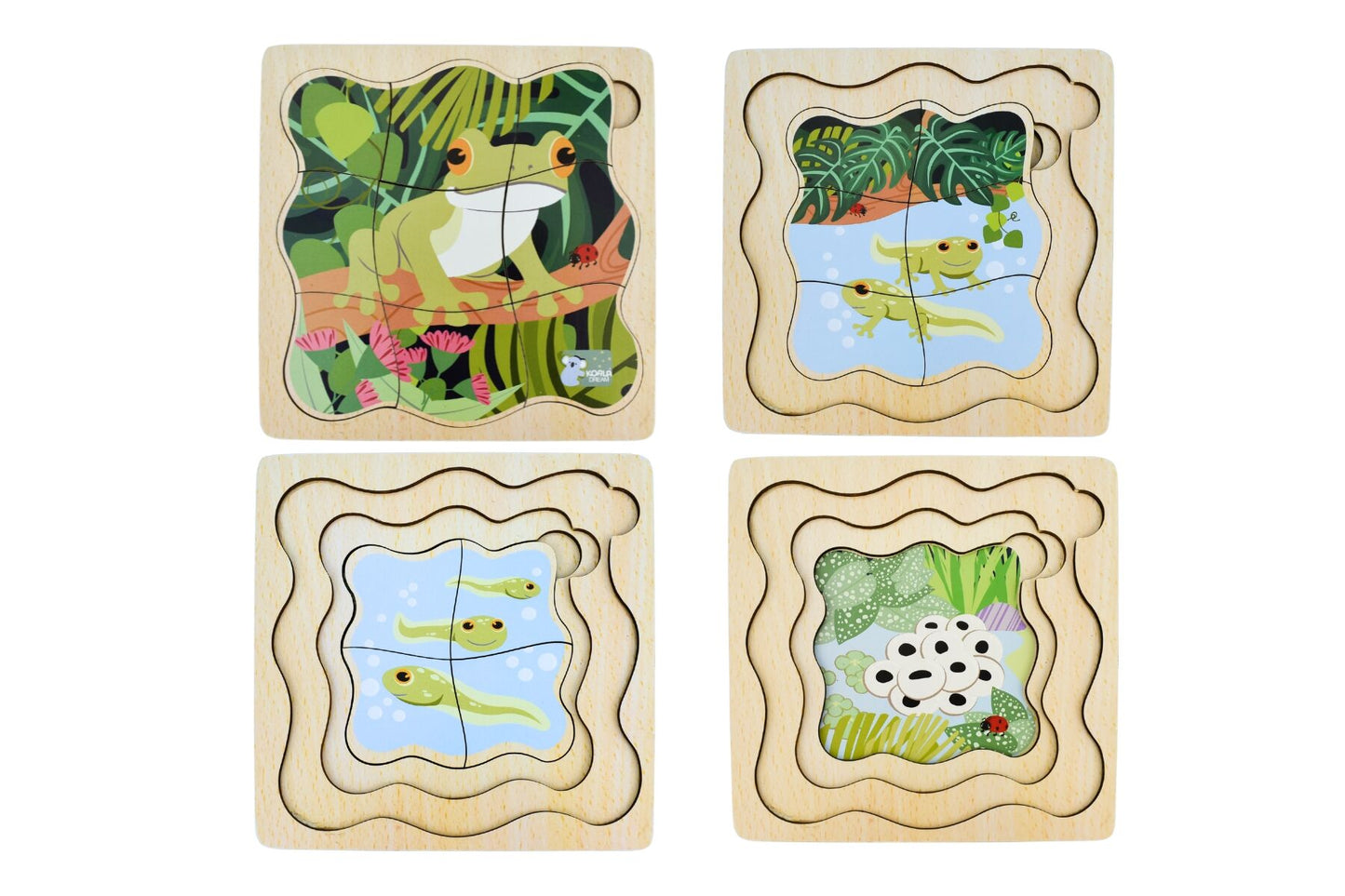 BUSH BUDDIES GREEN TREE FROG LIFE CYCLE LAYER PUZZLE - Bamboo Sprout