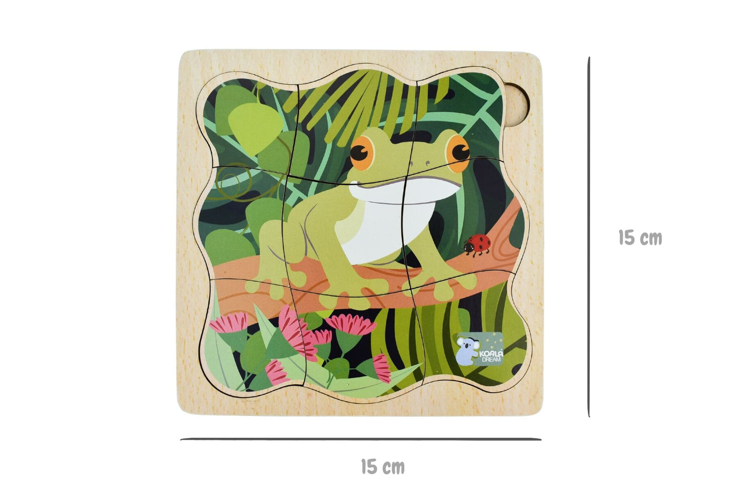 BUSH BUDDIES GREEN TREE FROG LIFE CYCLE LAYER PUZZLE - Bamboo Sprout