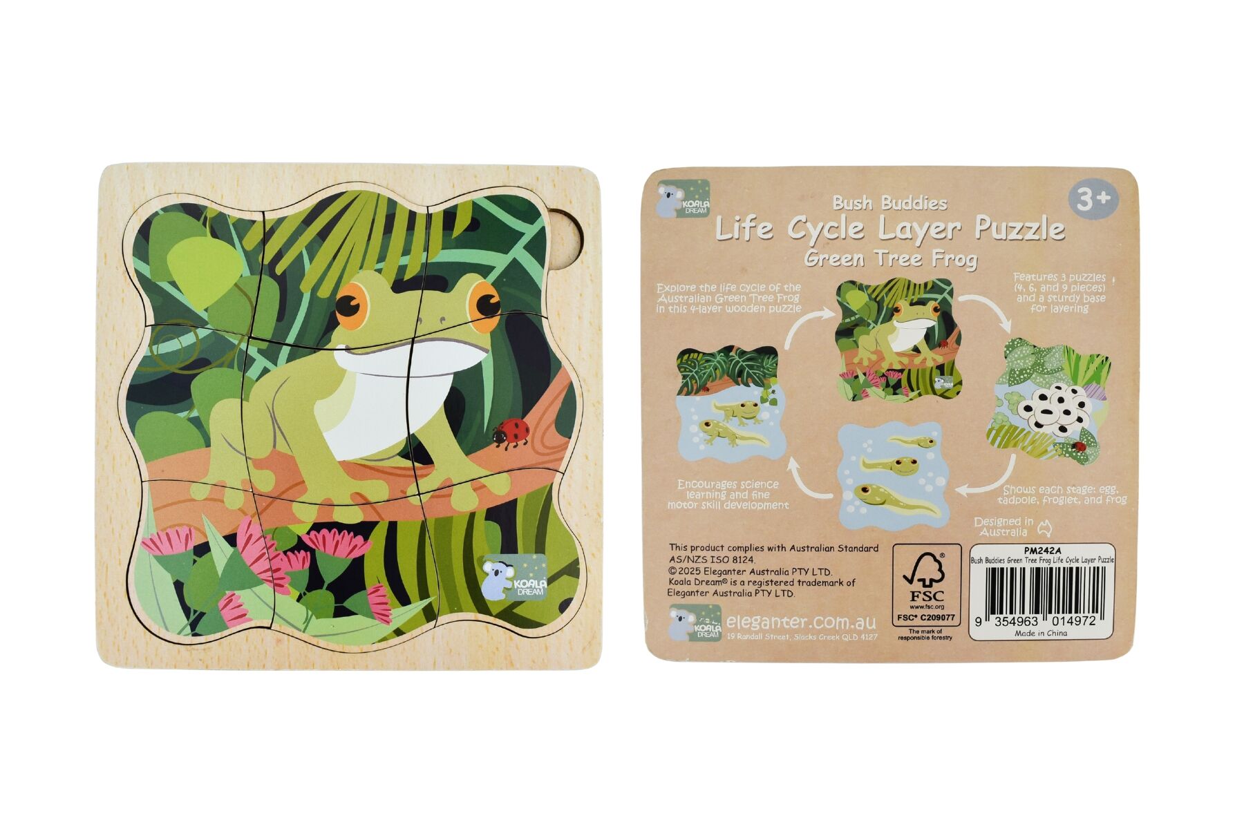 BUSH BUDDIES GREEN TREE FROG LIFE CYCLE LAYER PUZZLE - Bamboo Sprout