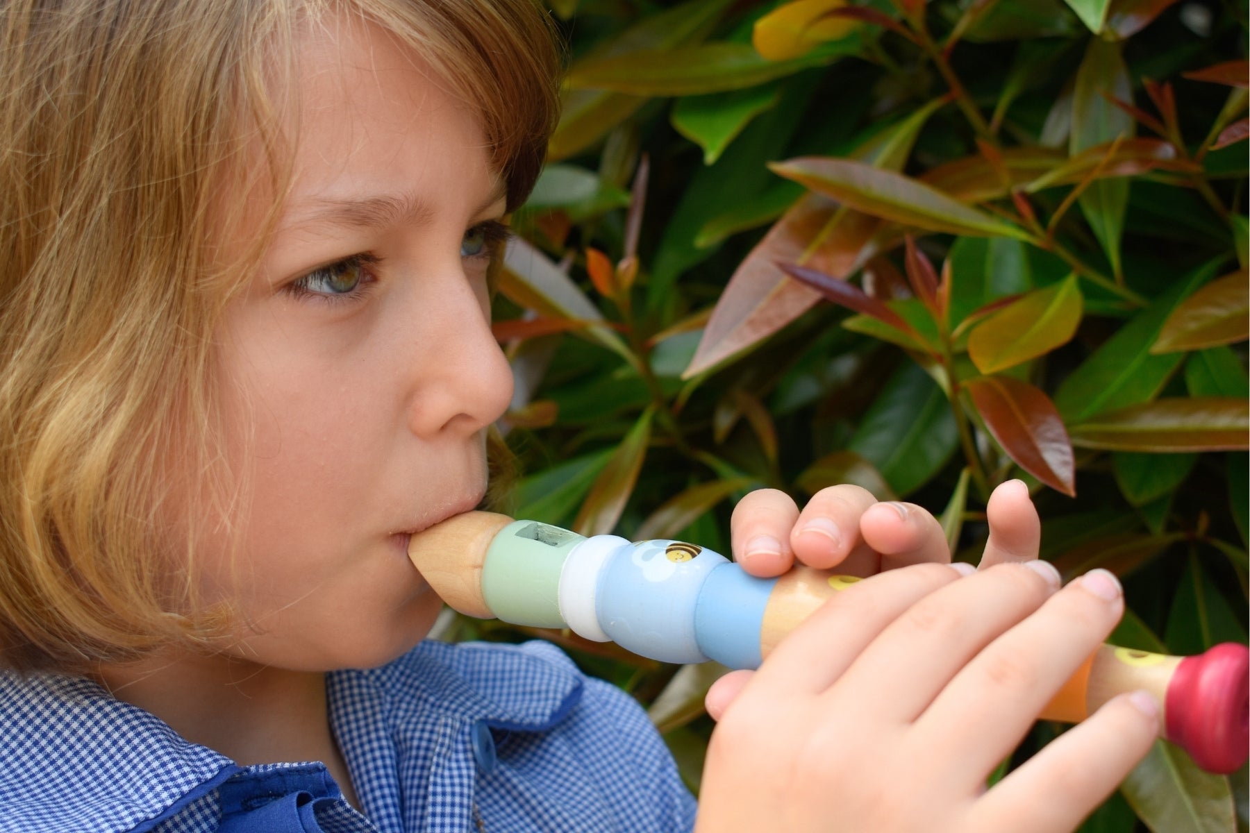 BUZZY DAYS BEE RAINBOW RECORDER - Bamboo Sprout