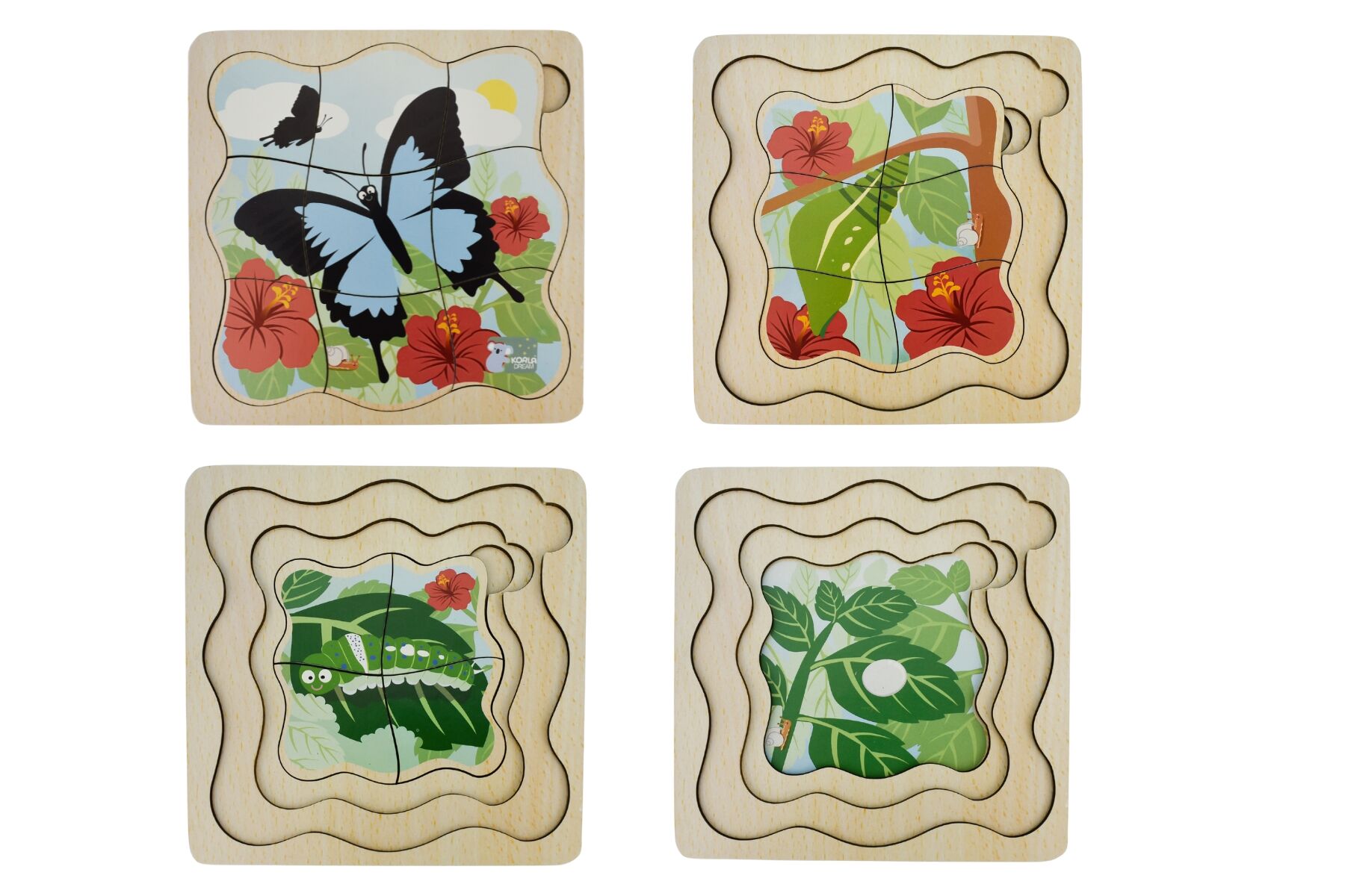 BUSH BUDDIES ULYSSES BUTTERFLY LIFE CYCLE LAYER PUZZLE - Bamboo Sprout