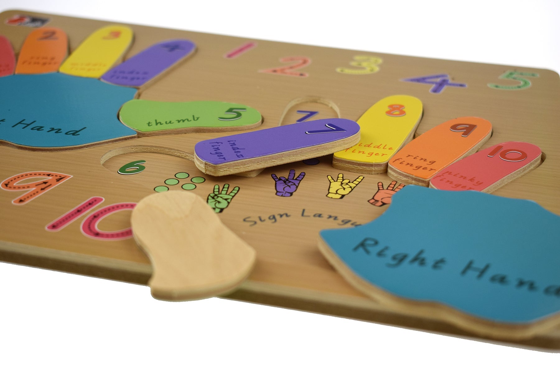 LEFT & RIGHT HAND PUZZLE - Bamboo Sprout