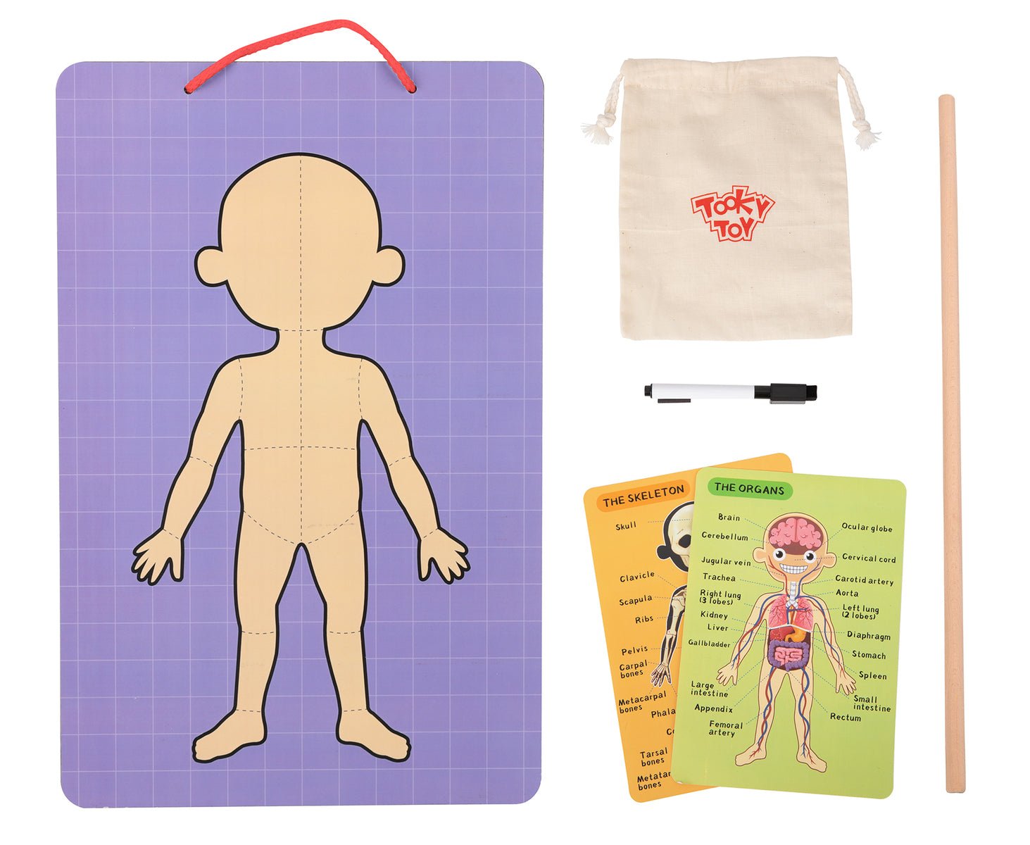 MAGNETIC BODY CHART - Bamboo Sprout