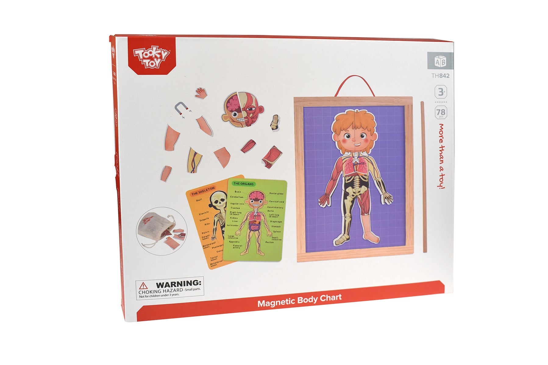 MAGNETIC BODY CHART - Bamboo Sprout